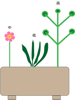 草丈の変化と奥行き